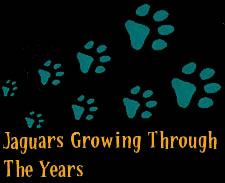 jaguars growing through the years